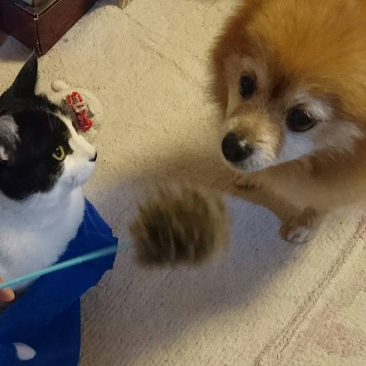 7fa88431 68e7 46eb a50f 1487347092d2