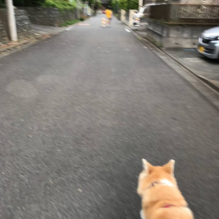 7fa8a64b 9619 41e4 b44c 767a76549d41