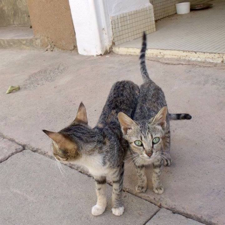 7fa8c201 abec 4b14 b568 b8bac0f88fb3