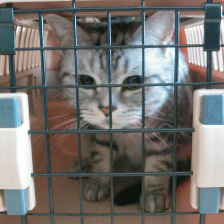 7fa96119 7765 4a0e 99e9 4ccc93405a3f