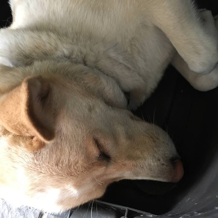 7fa996c1 6f46 4a68 8ee8 b350150ad657