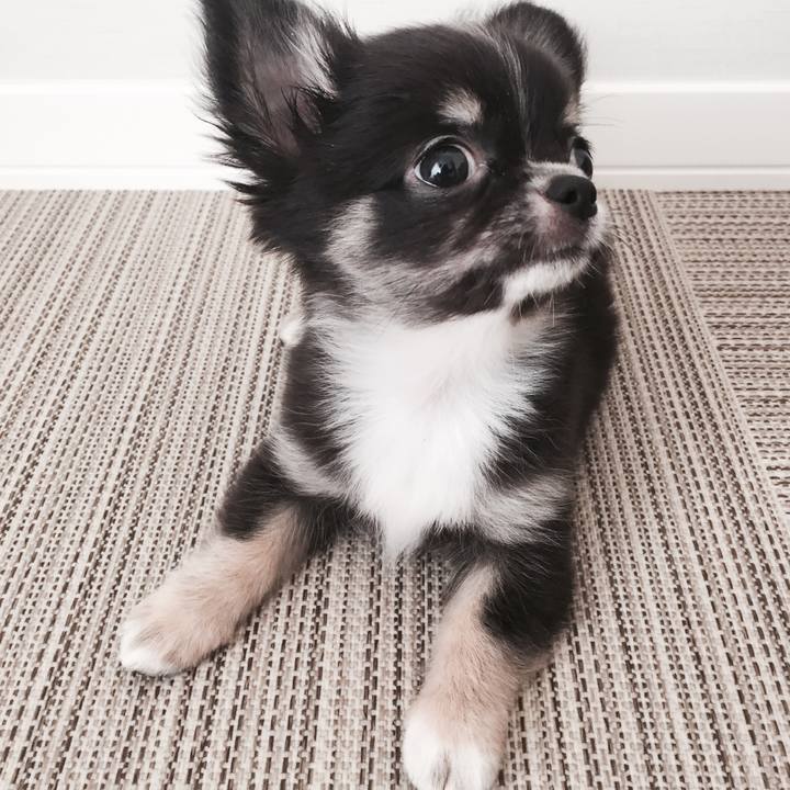 7fa9b024 9193 4bcb 8e48 fd2b97ee1271