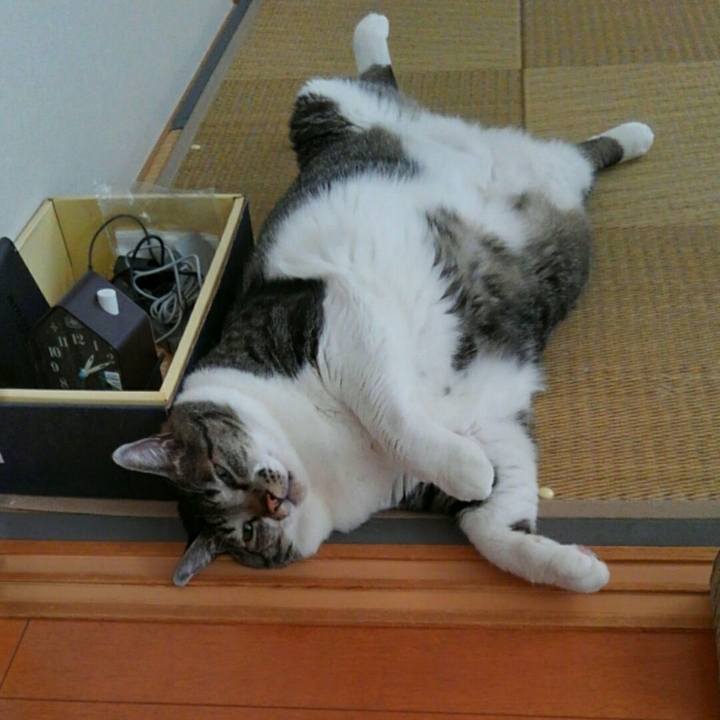 7faa987a 96b0 485d 9dca 0b4aa1d64095