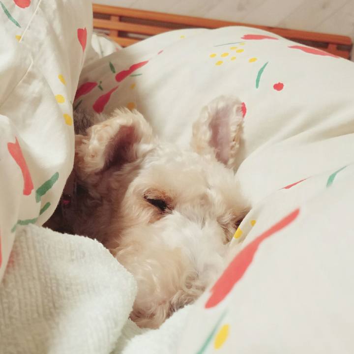 7faa9944 8df7 4b26 b4fc 31eb33415b89