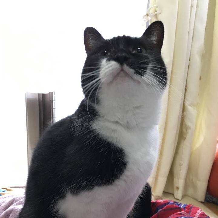 7faab680 e451 48e6 b04e f39a511aa163