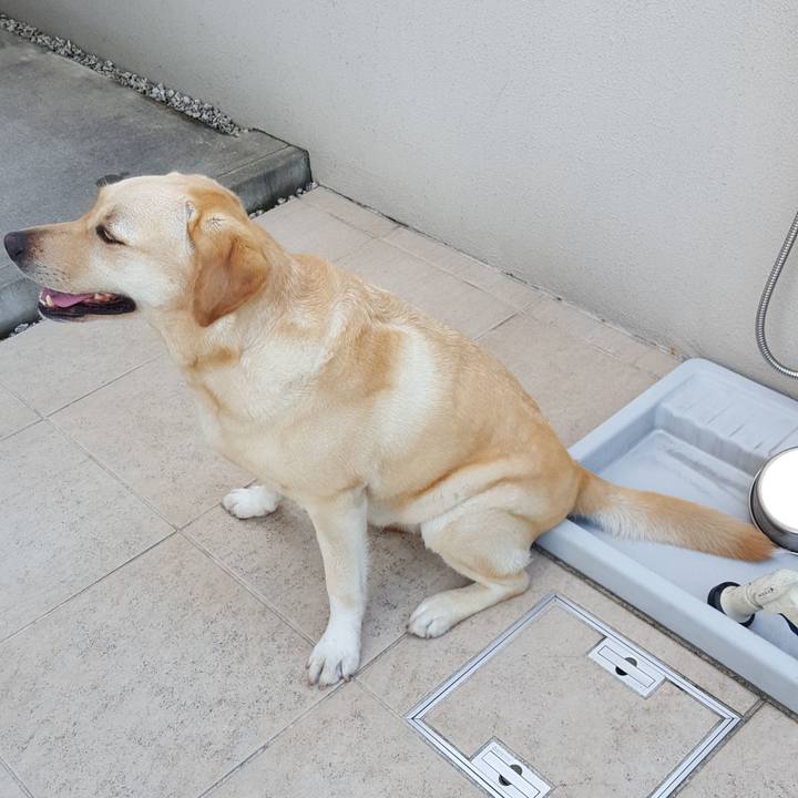 7faae9ad aa90 493f a796 00bf51f8b2fd