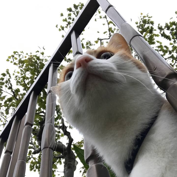 7fab3ae5 e28a 4762 9ea1 5f79ad5598c8