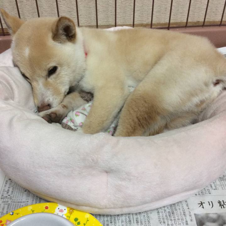 7fac6d7b 0208 46f5 9f53 f723d6b2c15b