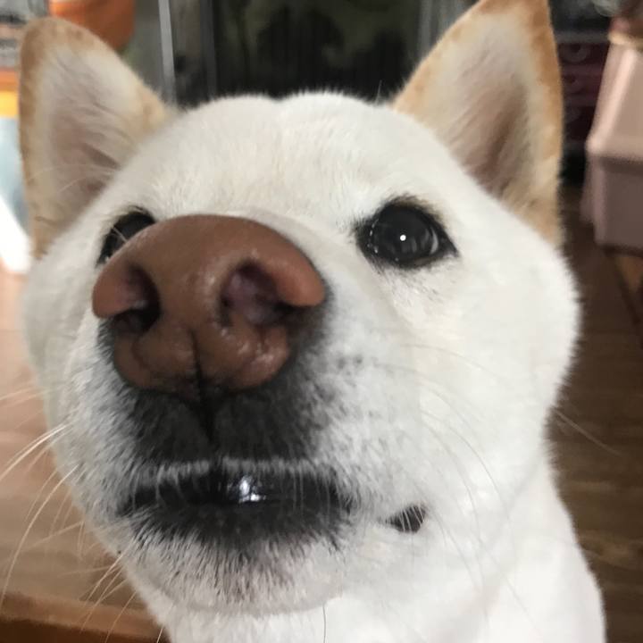 7fac929c 1ea2 4ddb 978b f0645f2fbc47