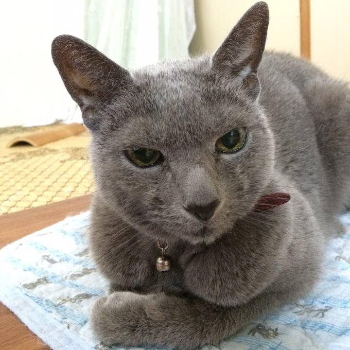 7facdf00 477c 48a0 9225 64507b6e5c41