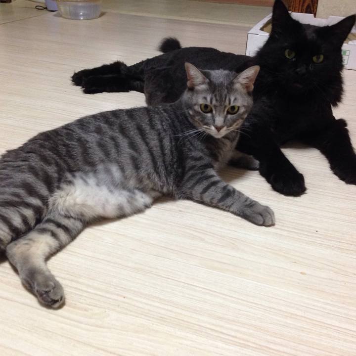 7facf7cf e6ca 49ec b797 f89737e5b721