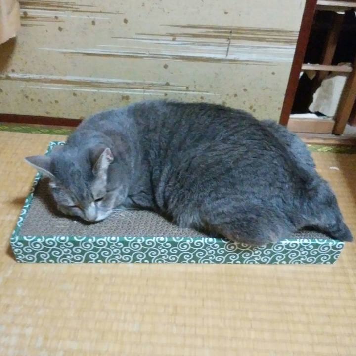 7fad6041 7bdf 4e9a 8f39 836c88143ad3