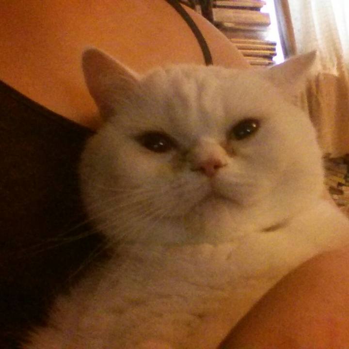 7faddcdb 33a1 4a53 a044 d34b481685c3