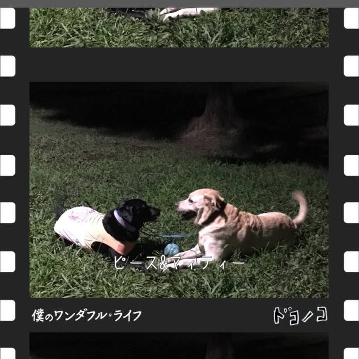 7faecf55 ddb6 4f33 a556 6331ec932379