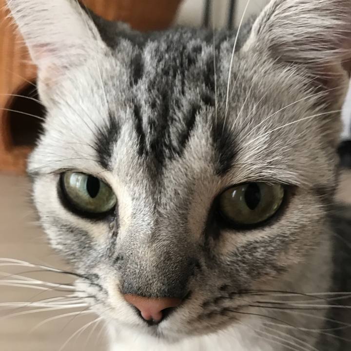 7faf6d59 99c7 4da3 8e23 98519793d357