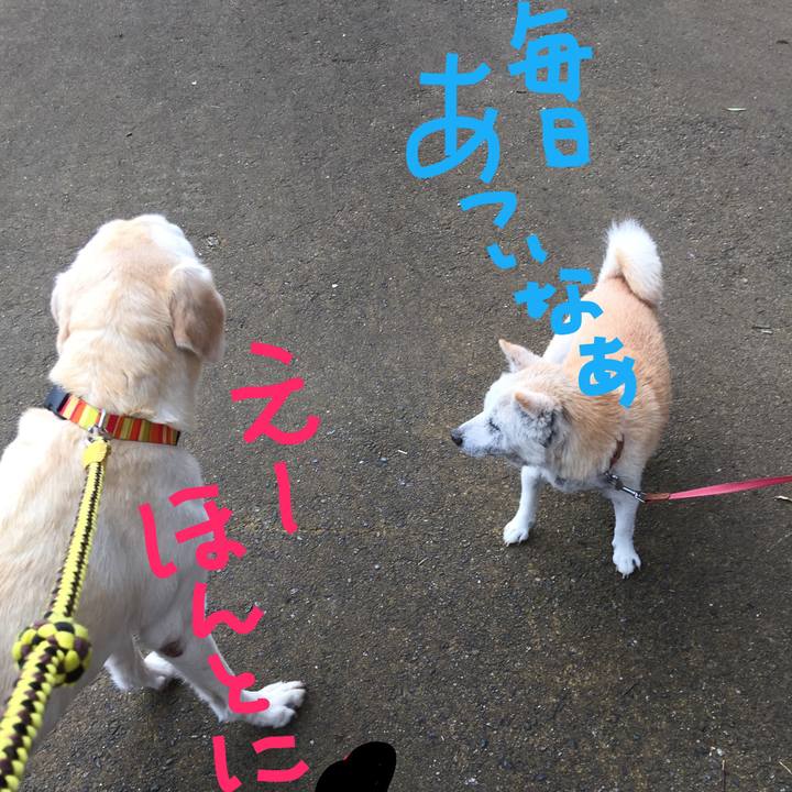 7fb052ec 7af9 414d b43b c8df65a828f2