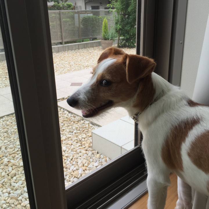 7fb0cf83 6c1b 4b59 9cc5 38512efdfd32