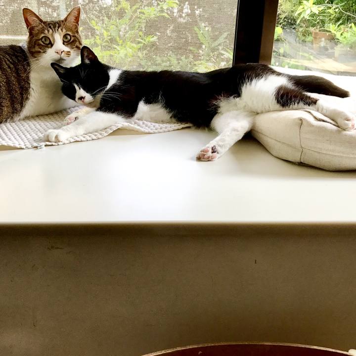 7fb0ed6a 51bb 4f4a af03 1b0c91ab8e92