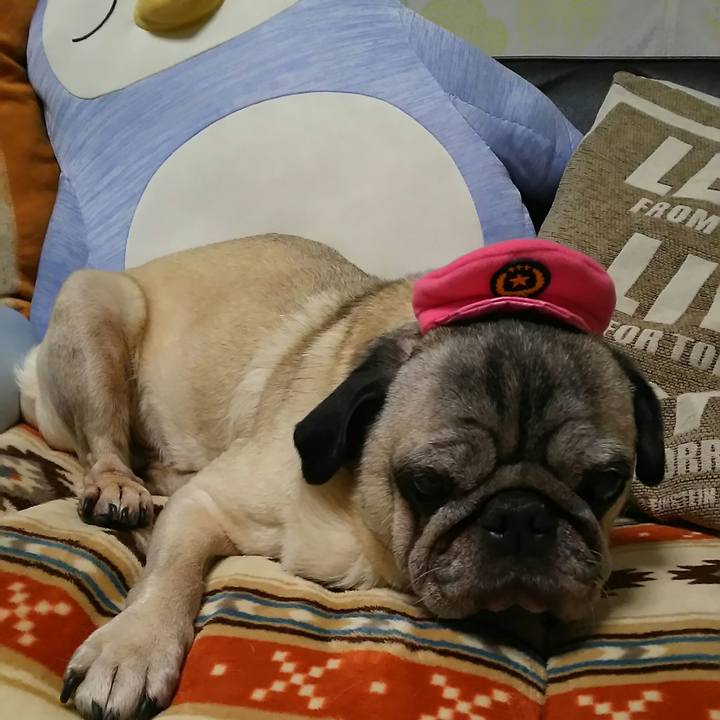 7fb24d10 53bd 4664 9a8c 6caeb0ef3168