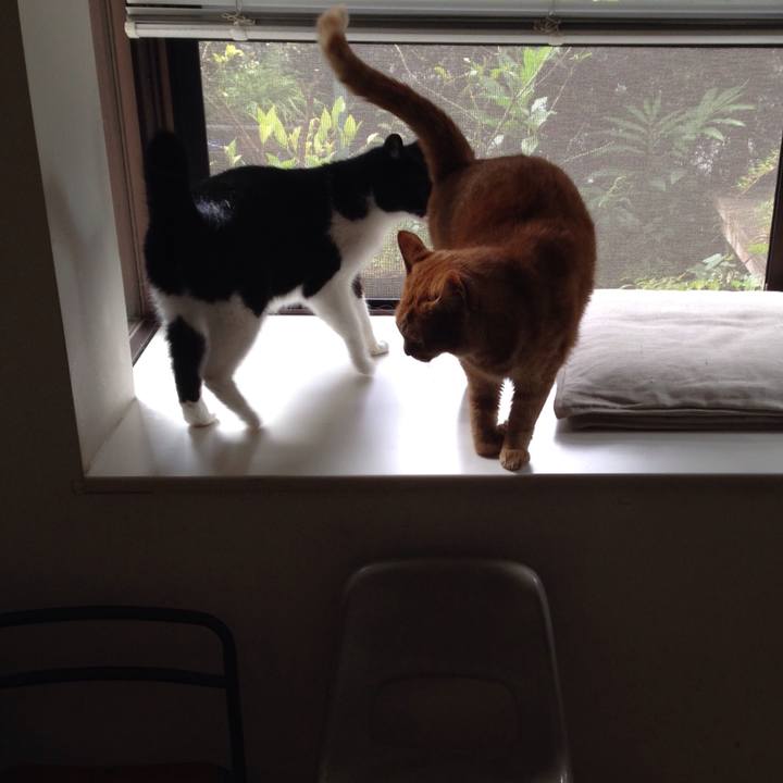 7fb25702 db0b 4839 97ba 0af28e8dd8b3