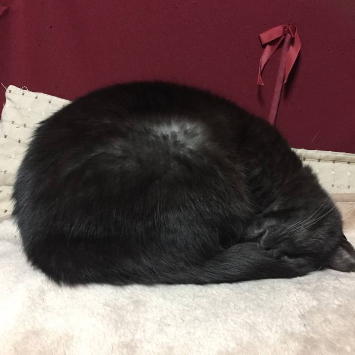 7fb30759 f1e3 4d86 a99a 24b232044936