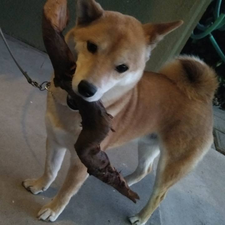 7fb3ab90 fd19 481d a4ac 352f72bb6ea4