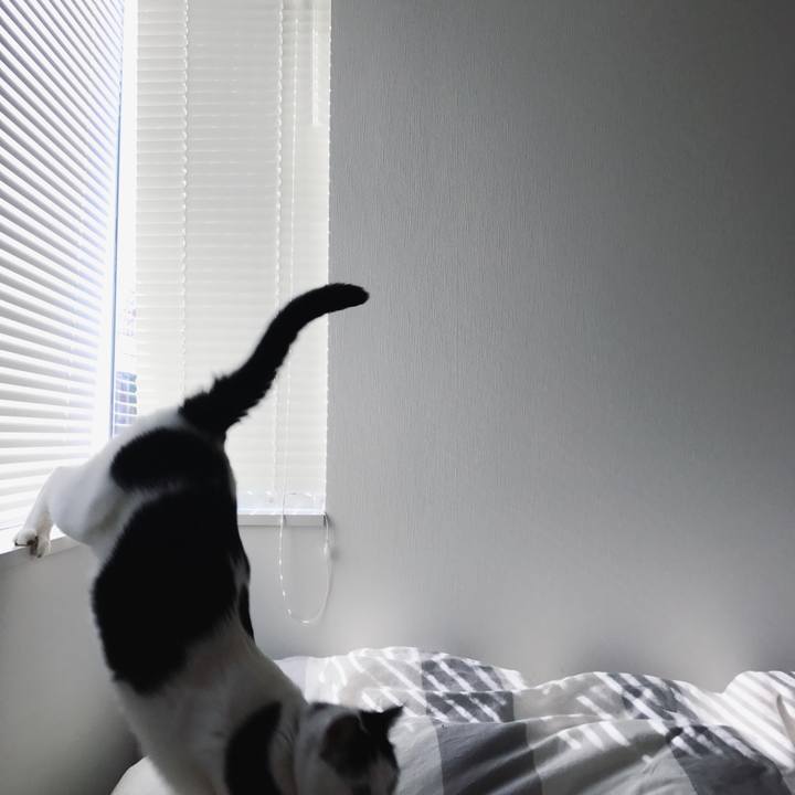 7fb434ee ba11 4c04 bd08 80ec1b99ff3f