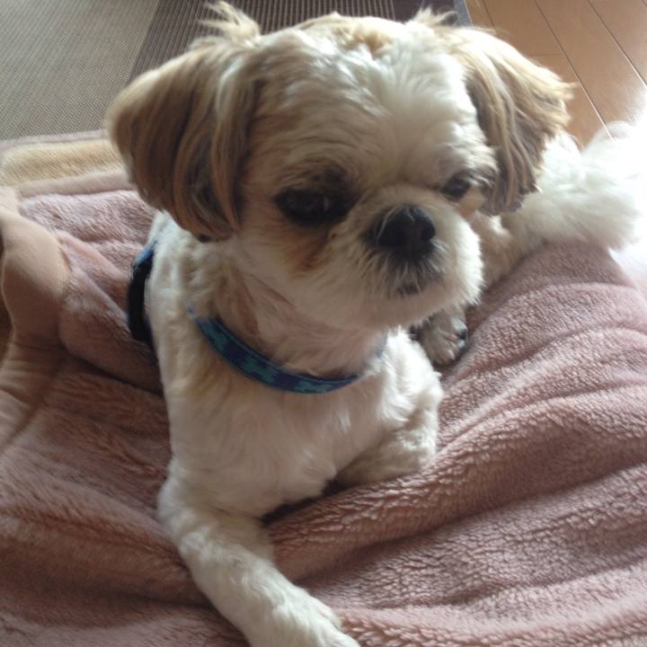 7fb4d1d0 6e72 45e8 a4f3 3f369b7aea52