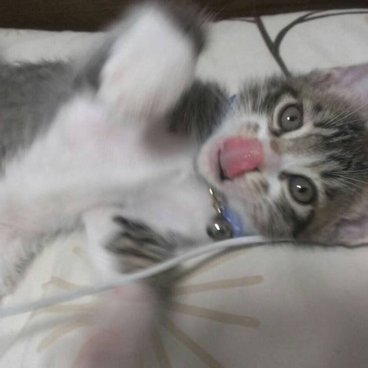 7fb50606 03fe 4799 a020 1031f9debcab