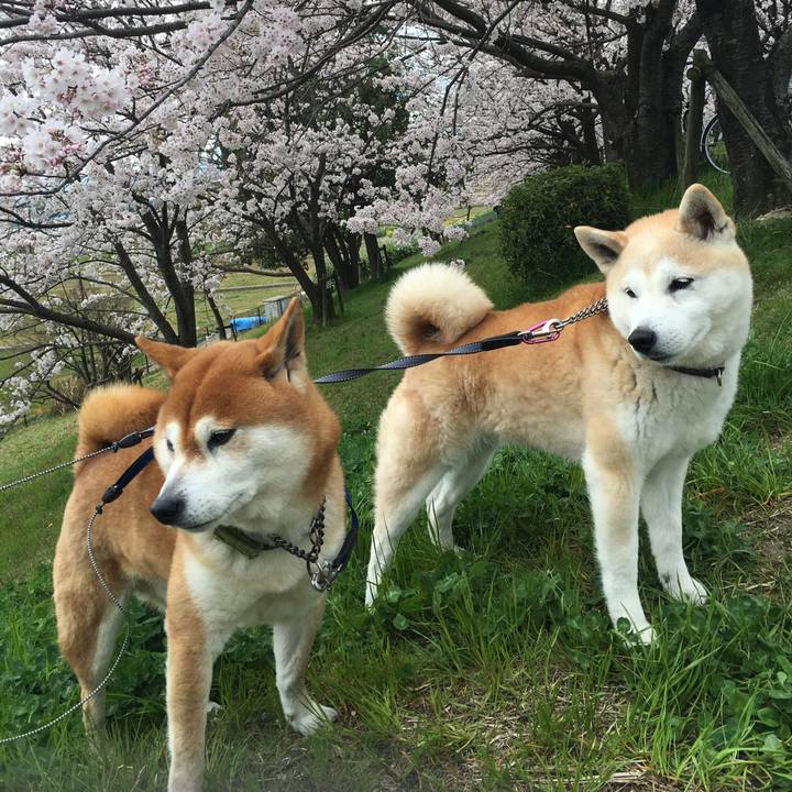 7fb539e8 c677 4429 9226 5c5d56687ee7