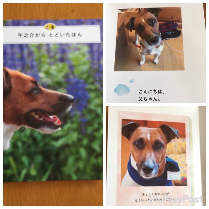 7fb69955 1ea9 477d a213 eebc8b1ca374