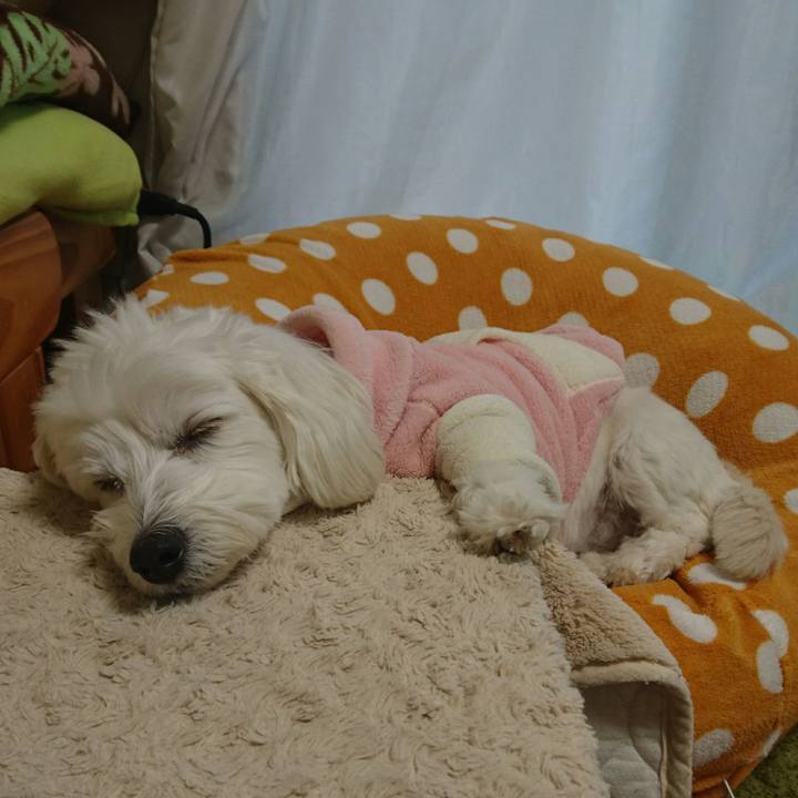 7fb69d65 3aaa 48d1 b83a 575307c18f1f