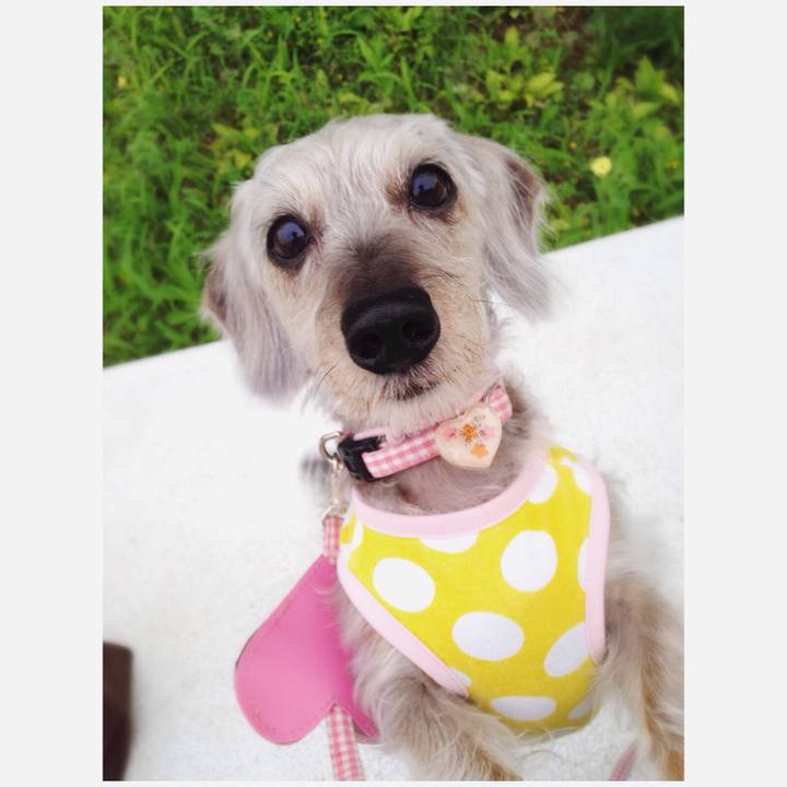 7fb73adb dc67 4510 be5d 721ac9980f2f