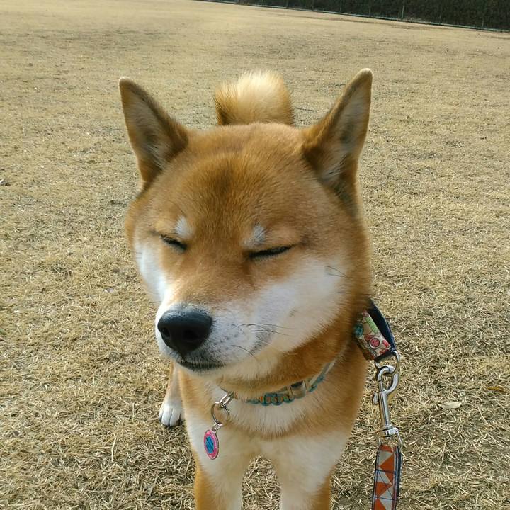 7fb73eaa b7c5 4a43 8f5e 20a1f872095d