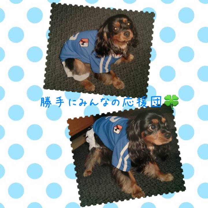 7fb812fb de42 447b 9280 dbaab76e6406