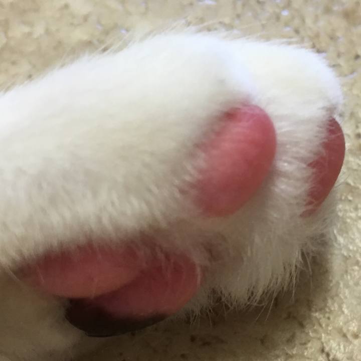 7fb8774b 2547 4e1d 9487 0525ccc04b1a