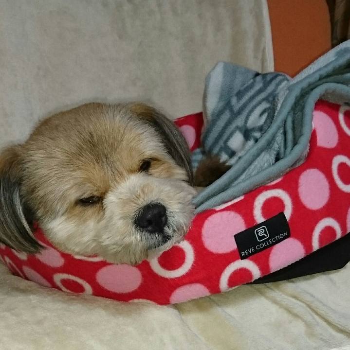 7fb8dbe1 f550 40f2 b32a f9c6229f2c1b