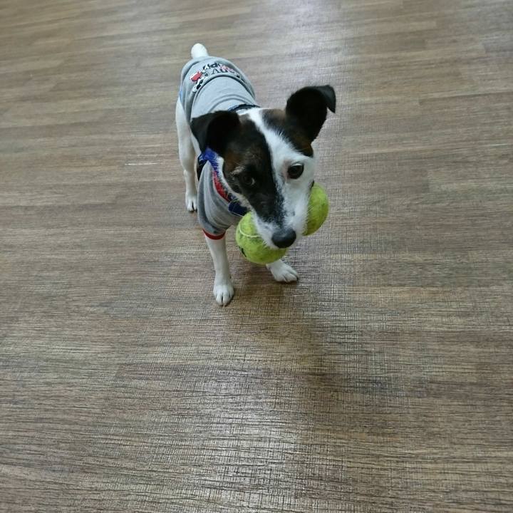 7fb95f8b 39ee 4204 8a08 ea6838e051c1