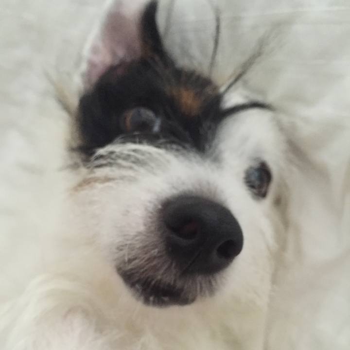 7fb9c98d 0ced 42e4 88de e64b1df6d9cc