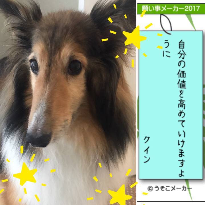 7fb9d3a4 6be2 4623 8158 3c4d0b2929a4