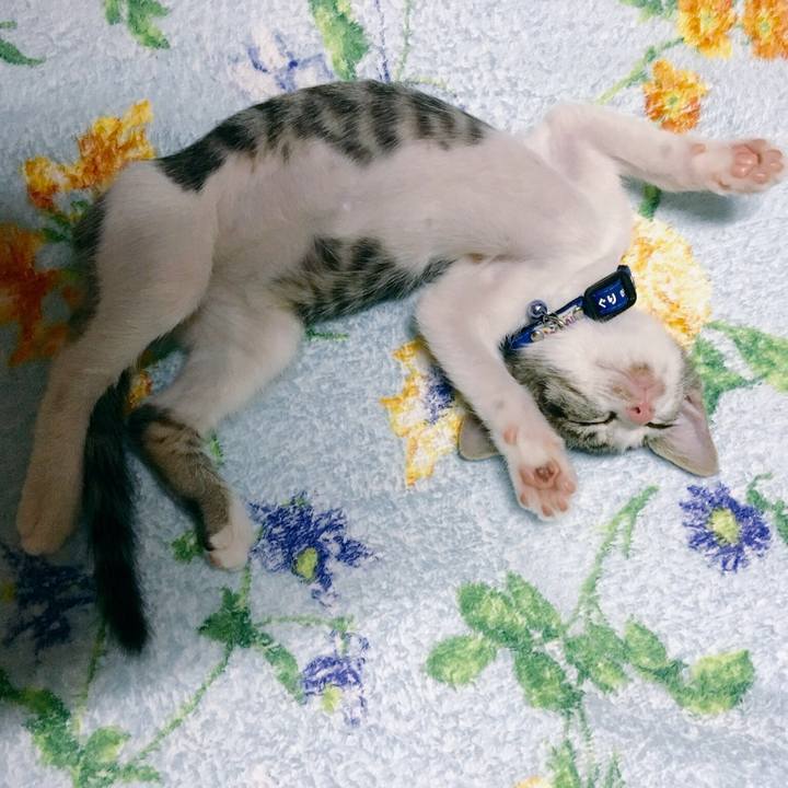 7fb9efbb 62ec 4821 ba26 4e00651177b8