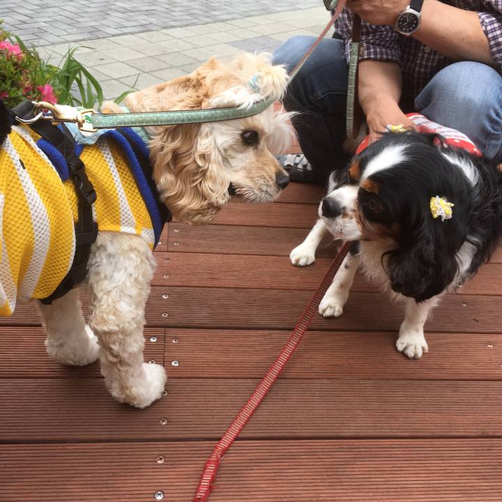 7fba0d5c e825 4ebf 95a2 cafb47efa156