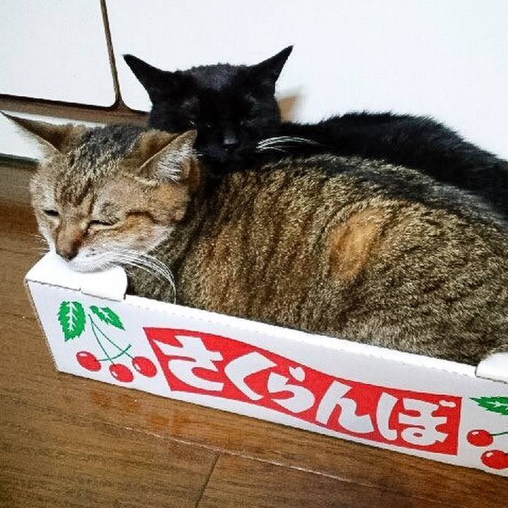 7fba0e7b 158d 4fb3 8820 dfd585a92b13