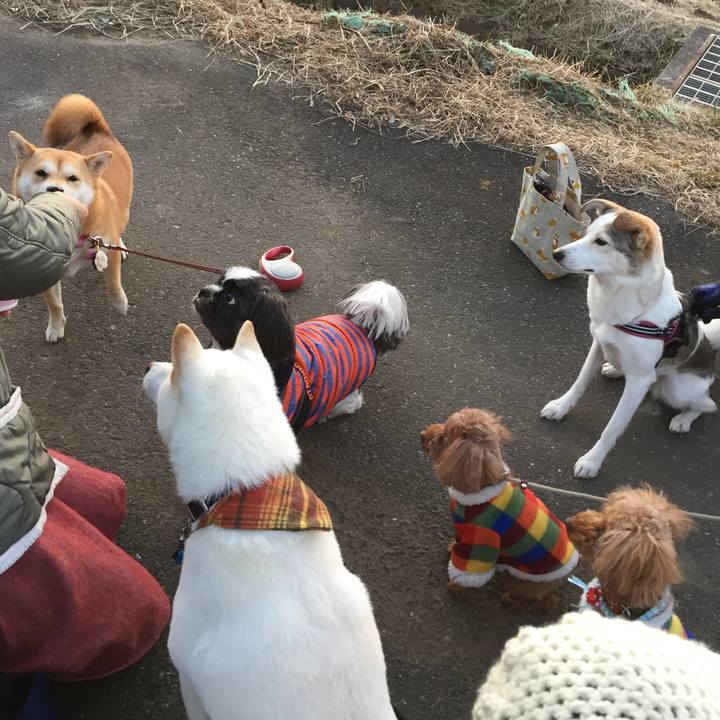 7fba6a18 c9ef 4441 9d8a 7913a250098b