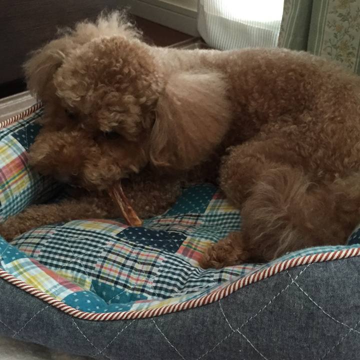 7fbad6f9 2104 410f ba93 eafca1f9a7ed