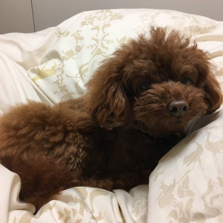 7fbb5b94 f1e6 490e a16a 2f8b49227fc8