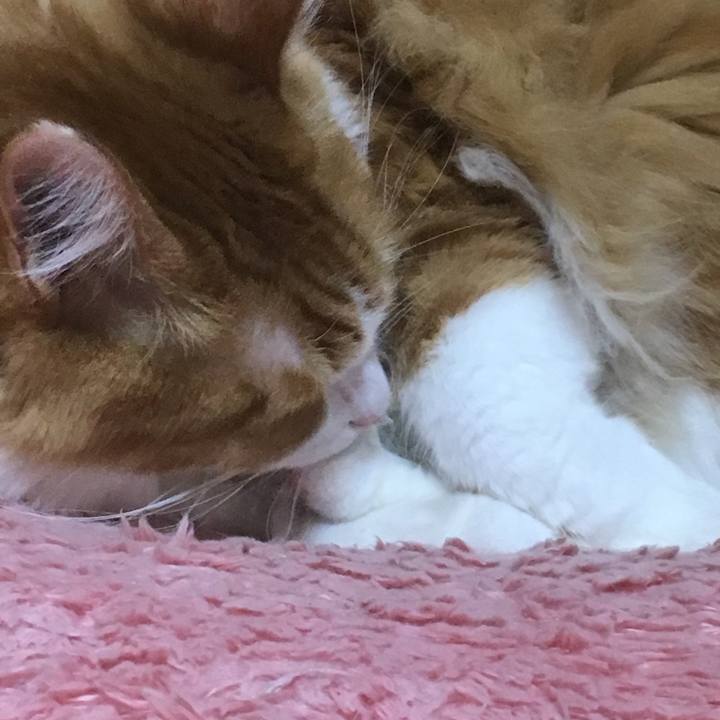 7fbbc0a7 b1e1 42c9 bdb8 3bb8c31c9cba