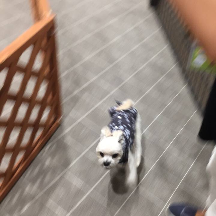 7fbbdf5a 88be 44b5 befd 868244a338d3