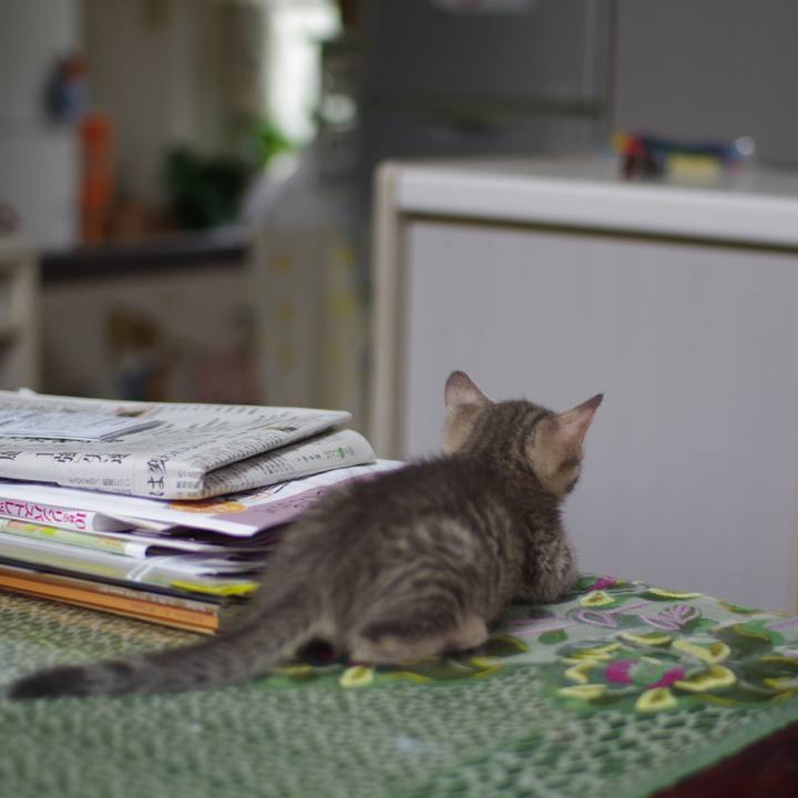 7fbbfe6a 4d88 4f86 b5b2 10c8cfe6ccb6