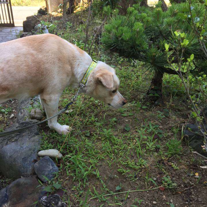 7fbc0ce3 79e9 4ed1 9a2e 859bca06ee34